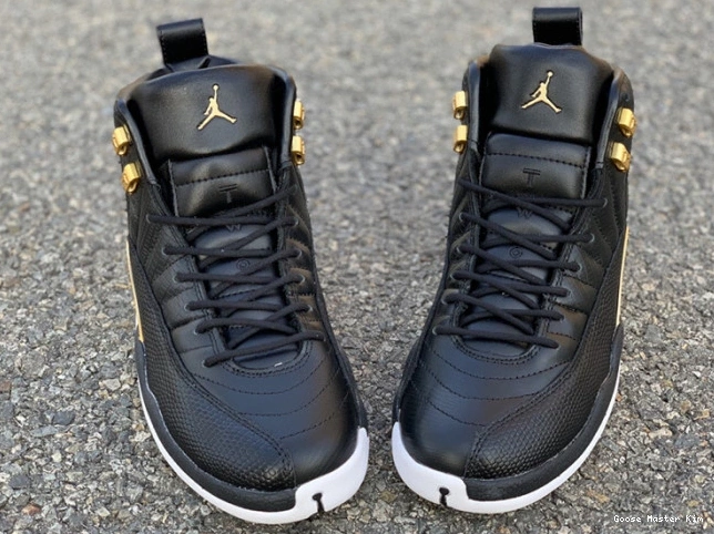 'Reptile' AO6068-007 Jordan Retro Metallic 12 Gold-White Air Black 0618